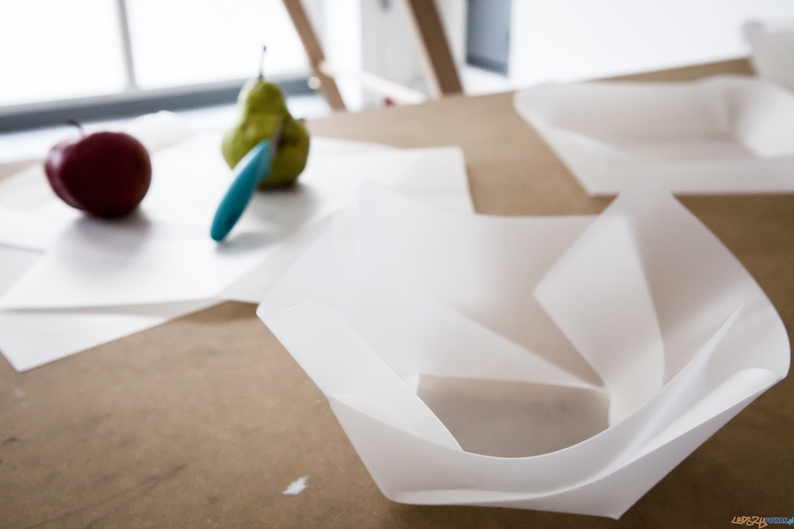 Manifest desygnera Foto: SWPS / materiały prasowe Manifest desygnera Foto: SWPS / materiały prasowe