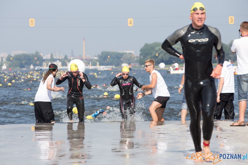 Enea Poznań Triathlon - dystans krótki Foto: lepszyPOZNAN.pl / Piotr Rychter Enea Poznań Triathlon - dystans krótki Foto: lepszyPOZNAN.pl / Piotr Rychter