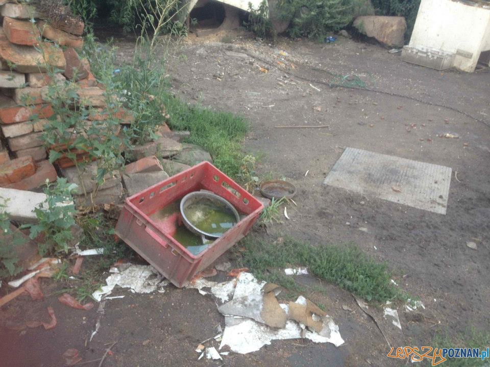 Interwencja TOZ (2) Foto: Interwencja TOZ (2) Foto: