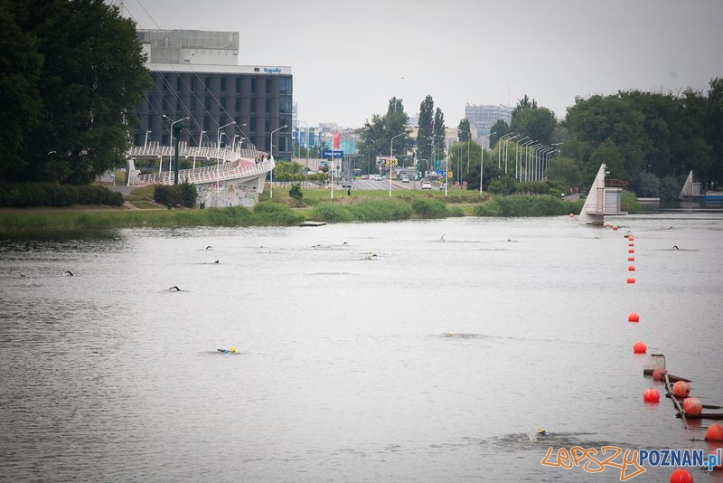 Aquathlon na Malcie 2013 Foto: Wojciech Pawłowski / endu sport Aquathlon na Malcie 2013 Foto: Wojciech Pawłowski / endu sport