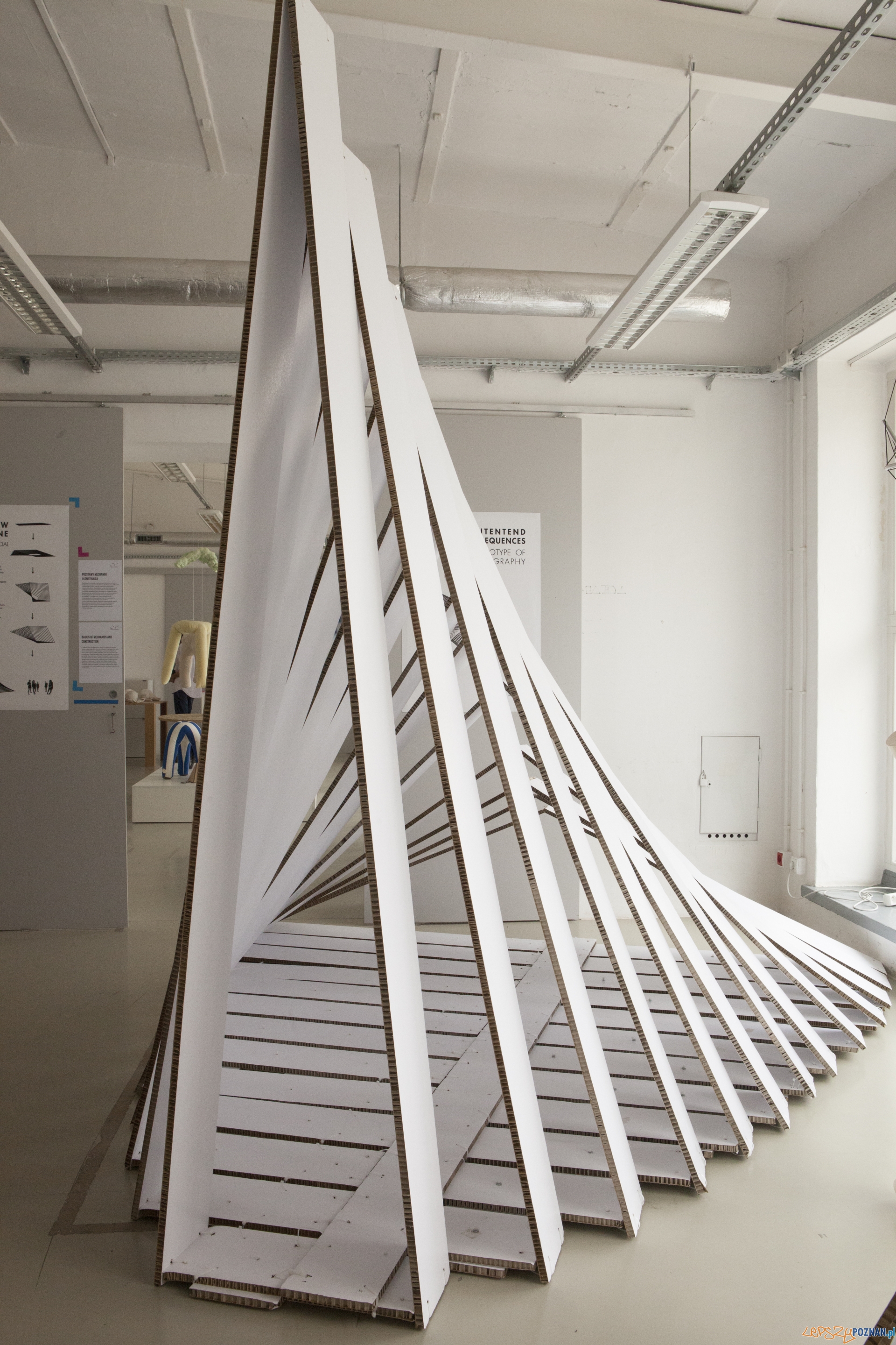 Manifest desygnera Foto: SWPS / materiały prasowe Manifest desygnera Foto: SWPS / materiały prasowe