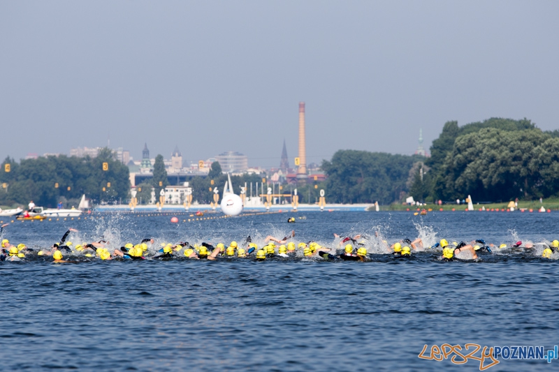 Enea Poznań Triathlon - dystans krótki Foto: lepszyPOZNAN.pl / Piotr Rychter Enea Poznań Triathlon - dystans krótki Foto: lepszyPOZNAN.pl / Piotr Rychter