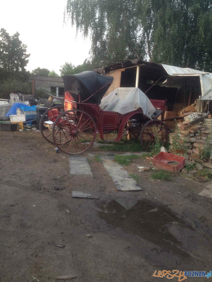 Interwencja TOZ (8) Foto: Interwencja TOZ (8) Foto: