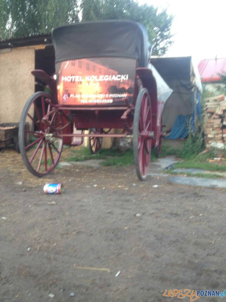 Interwencja TOZ (7) Foto: Interwencja TOZ (7) Foto: