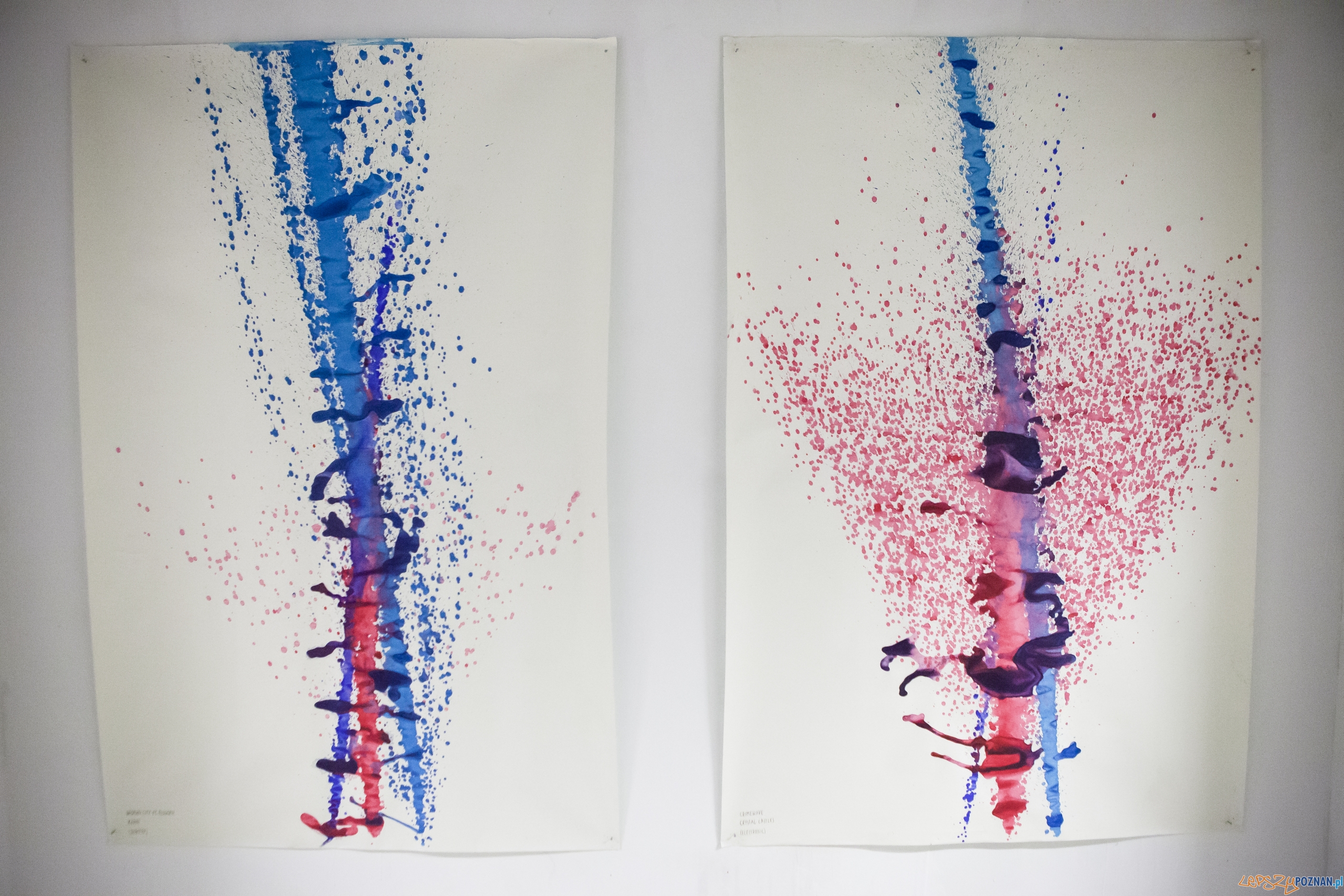 Manifest desygnera Foto: SWPS / materiały prasowe Manifest desygnera Foto: SWPS / materiały prasowe