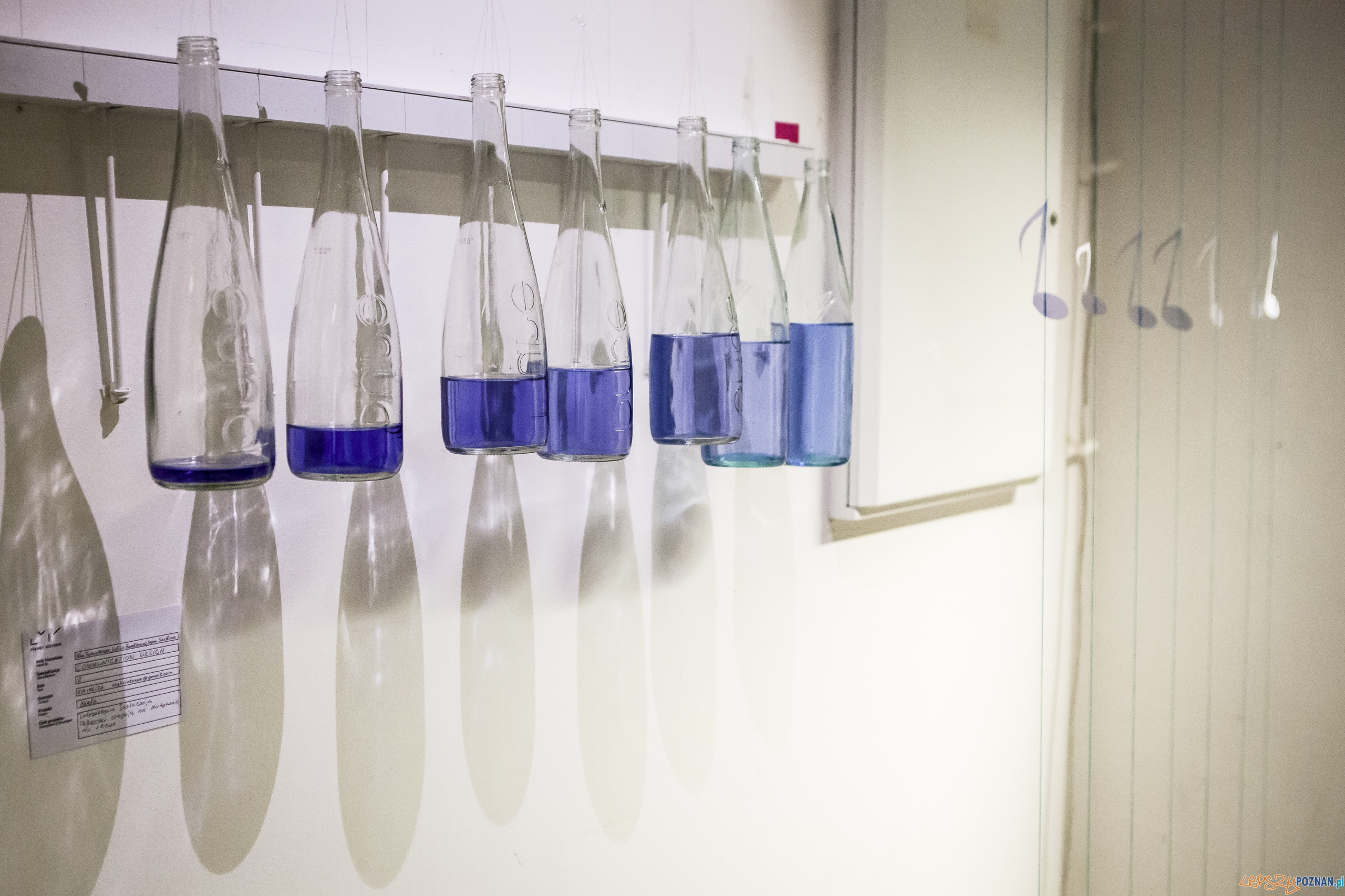 Manifest desygnera Foto: SWPS / materiały prasowe Manifest desygnera Foto: SWPS / materiały prasowe