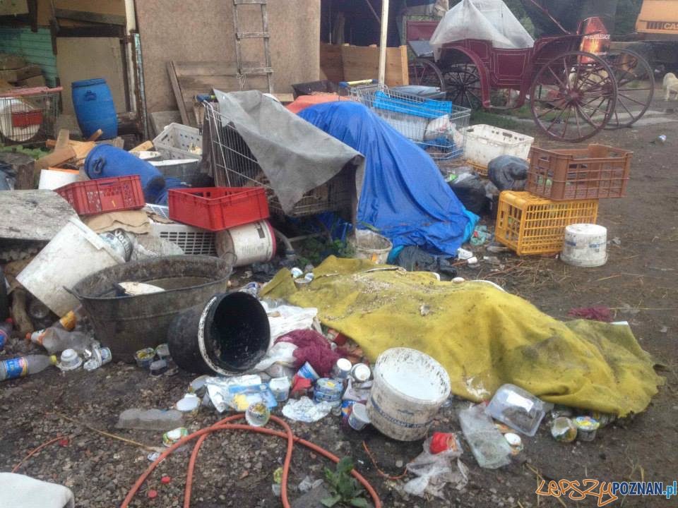 Interwencja TOZ (5) Foto: Interwencja TOZ (5) Foto: