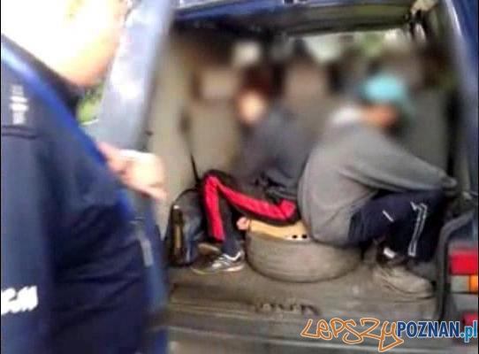 Kolejny kierowca bez wyobraźni. I prawa jazdy. Foto: Wielkopolska Policja Kolejny kierowca bez wyobraźni. I prawa jazdy. Foto: Wielkopolska Policja