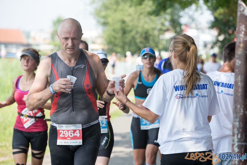 Enea Poznań Triathlon - dystans krótki Foto: lepszyPOZNAN.pl / Piotr Rychter Enea Poznań Triathlon - dystans krótki Foto: lepszyPOZNAN.pl / Piotr Rychter