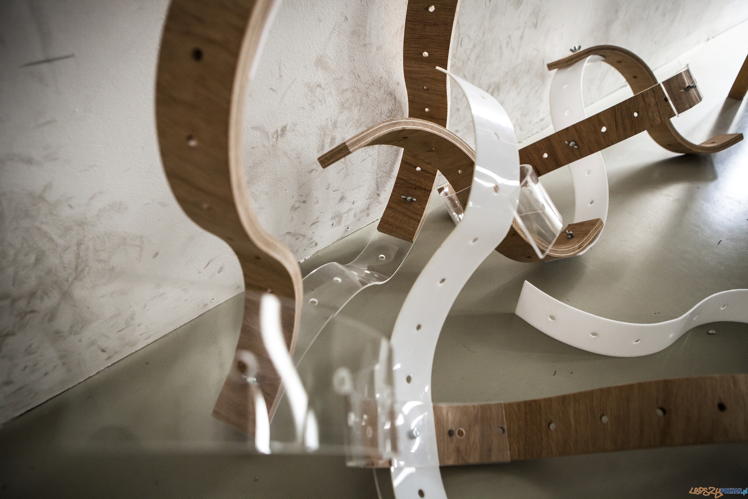 Manifest desygnera Foto: SWPS / materiały prasowe Manifest desygnera Foto: SWPS / materiały prasowe