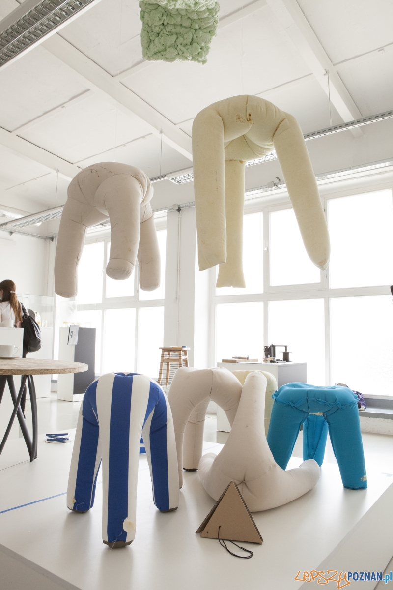 Manifest desygnera Foto: SWPS / materiały prasowe Manifest desygnera Foto: SWPS / materiały prasowe