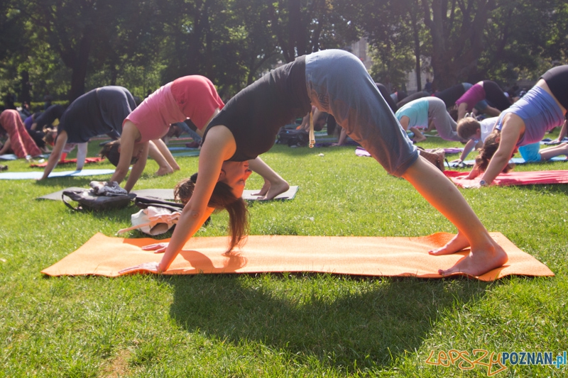 Joga przy Operze Foto: lepszyPOZNAN.pl / Piotr Rychter Joga przy Operze Foto: lepszyPOZNAN.pl / Piotr Rychter