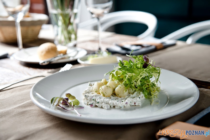 Gzik z pyrami Foto: Małgorzata Opala Gzik z pyrami Foto: Małgorzata Opala