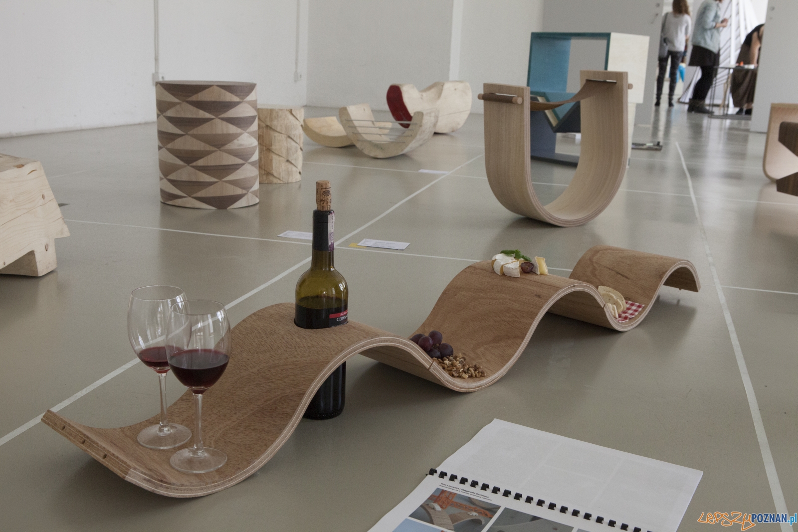 Manifest desygnera Foto: SWPS / materiały prasowe Manifest desygnera Foto: SWPS / materiały prasowe