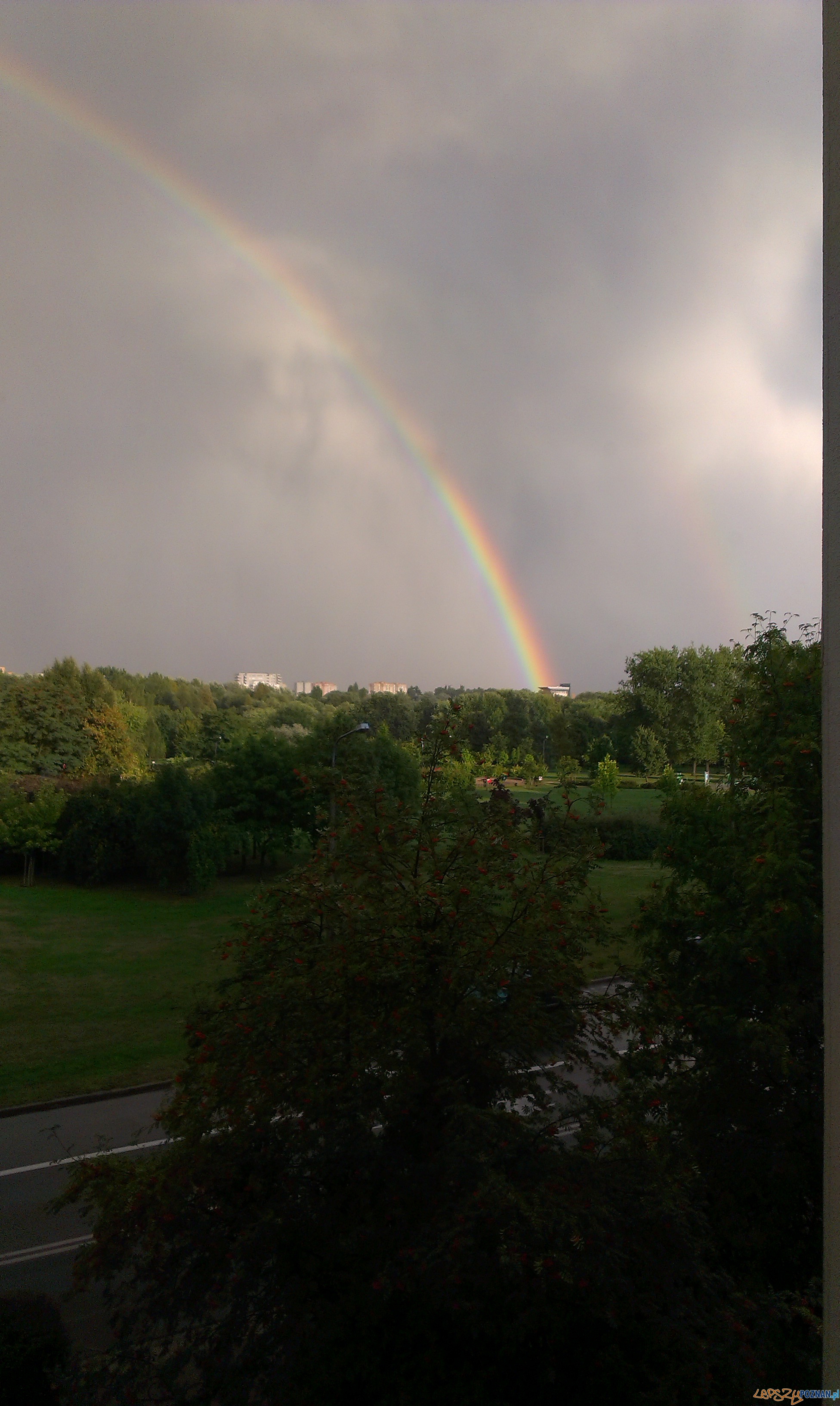 Tęcza nad Poznaniem Foto: Iwona Majcher Tęcza nad Poznaniem Foto: Iwona Majcher
