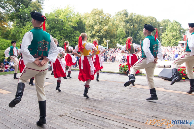 Dożynki miejskie 2014 Foto: lepszyPOZNAN.pl / Piotr Rychter Dożynki miejskie 2014 Foto: lepszyPOZNAN.pl / Piotr Rychter