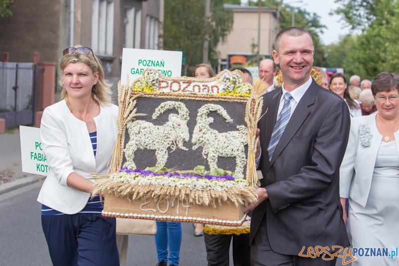 Dożynki miejskie 2014 Foto: lepszyPOZNAN.pl / Piotr Rychter Dożynki miejskie 2014 Foto: lepszyPOZNAN.pl / Piotr Rychter