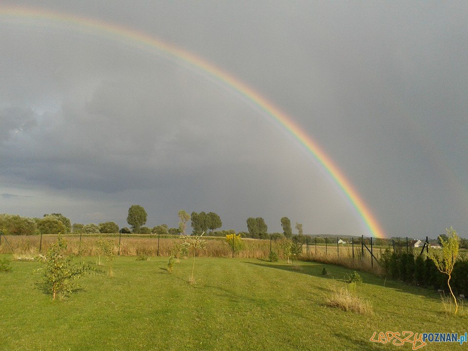 Tęcza w okolicach Poznania Foto: Ania Tęcza w okolicach Poznania Foto: Ania