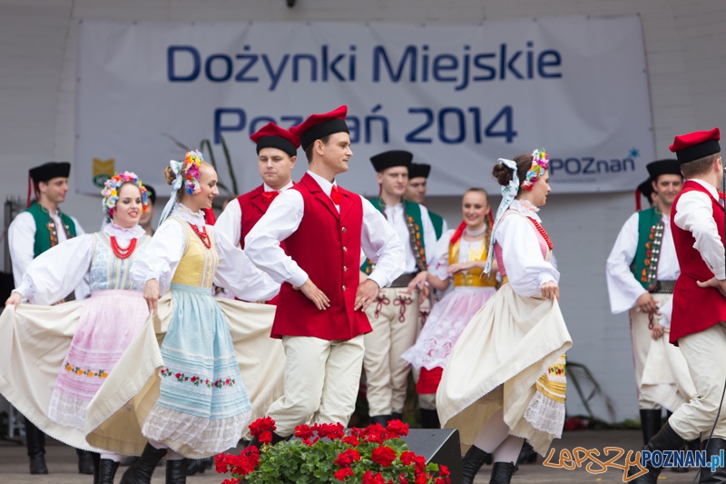Dożynki miejskie 2014 Foto: lepszyPOZNAN.pl / Piotr Rychter Dożynki miejskie 2014 Foto: lepszyPOZNAN.pl / Piotr Rychter