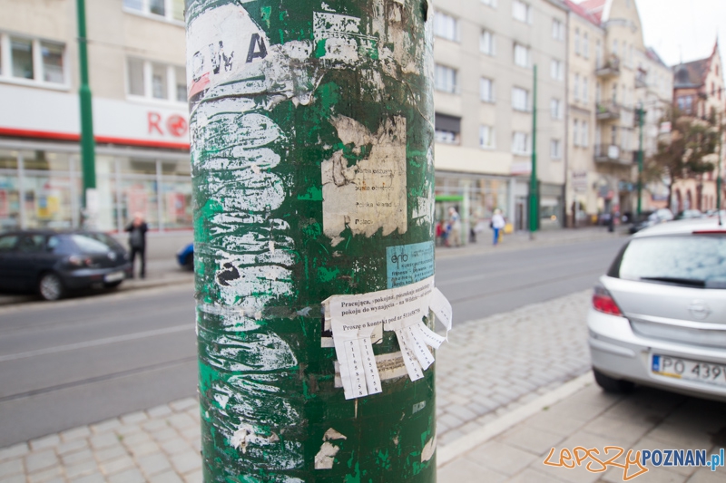 II edycję akcji Sprzątamy Wildę Foto: lepszyPOZNAN.pl / Piotr Rychter II edycję akcji Sprzątamy Wildę Foto: lepszyPOZNAN.pl / Piotr Rychter