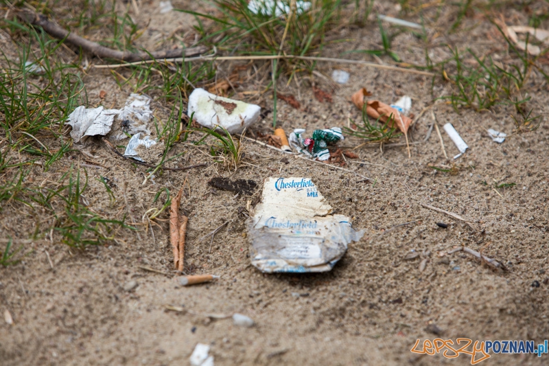 II edycję akcji Sprzątamy Wildę Foto: lepszyPOZNAN.pl / Piotr Rychter II edycję akcji Sprzątamy Wildę Foto: lepszyPOZNAN.pl / Piotr Rychter