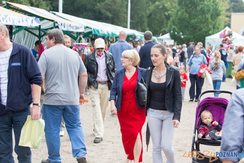 Dożynki miejskie 2014 Foto: lepszyPOZNAN.pl / Piotr Rychter Dożynki miejskie 2014 Foto: lepszyPOZNAN.pl / Piotr Rychter