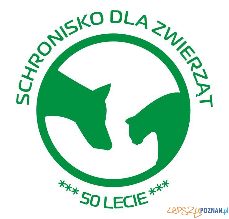 Schronisko dla zwierząt w Poznaniu - 50-lecie Foto: Schronisko dla zwierząt w Poznaniu - 50-lecie Foto:
