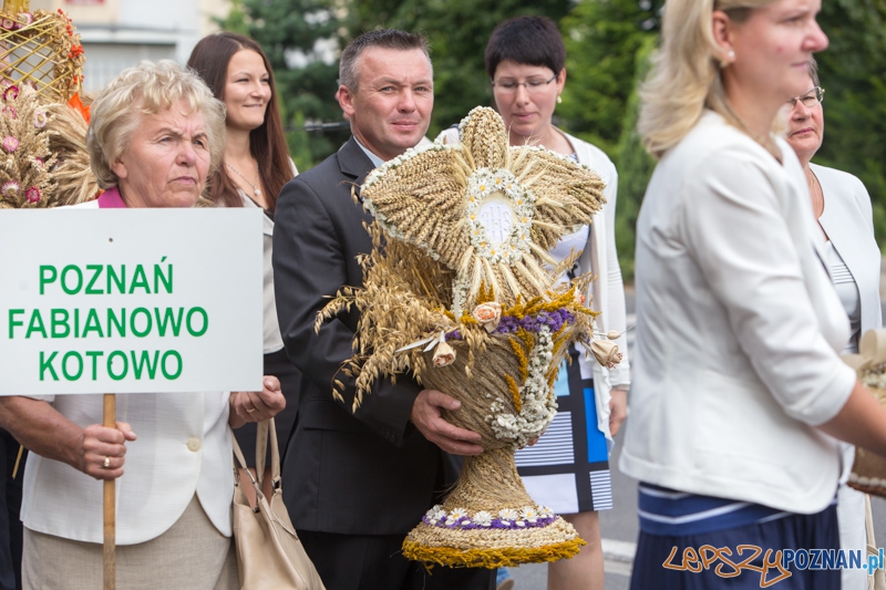 Dożynki miejskie 2014 Foto: lepszyPOZNAN.pl / Piotr Rychter Dożynki miejskie 2014 Foto: lepszyPOZNAN.pl / Piotr Rychter