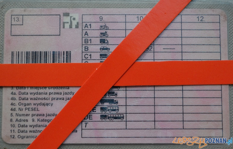 Prawo jazdy  Foto: KM Policji