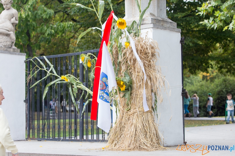 Dożynki miejskie 2014 Foto: lepszyPOZNAN.pl / Piotr Rychter Dożynki miejskie 2014 Foto: lepszyPOZNAN.pl / Piotr Rychter