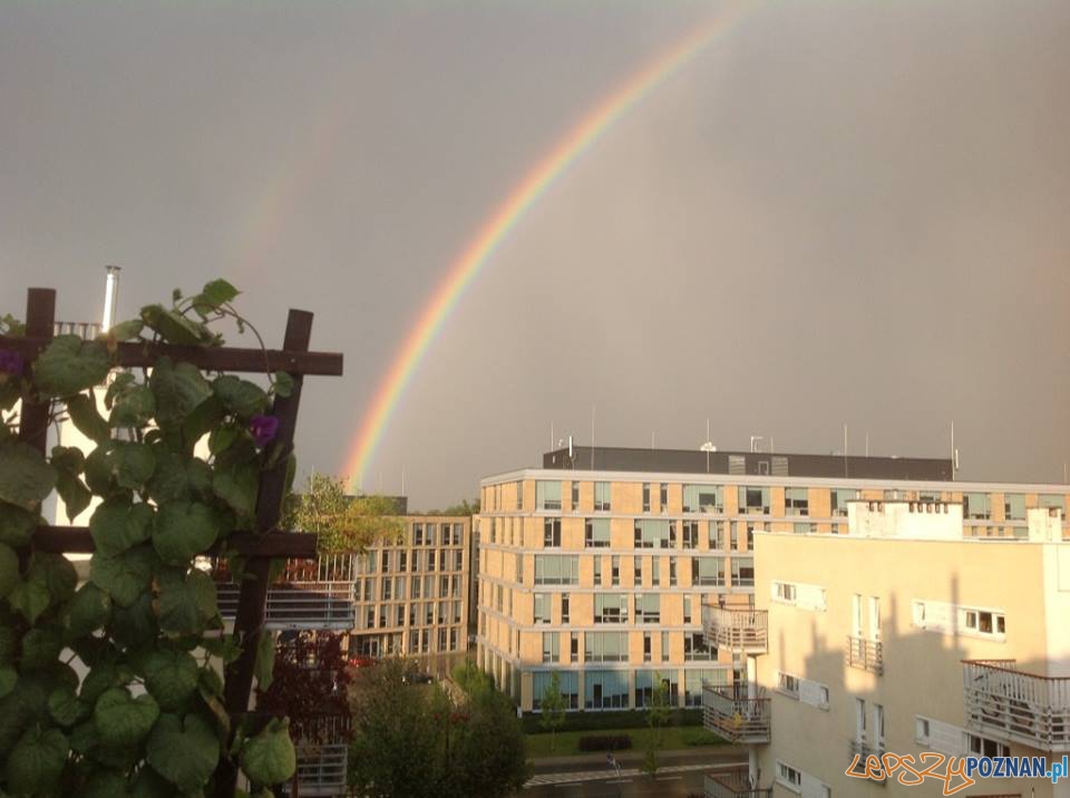 Deszcz i tęcza nad Poznaniem Foto: Deszcz i tęcza nad Poznaniem Foto: