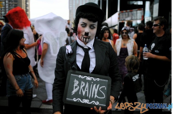 Doc Of The Dead (USA, 2014)  Foto: mat. prasowe