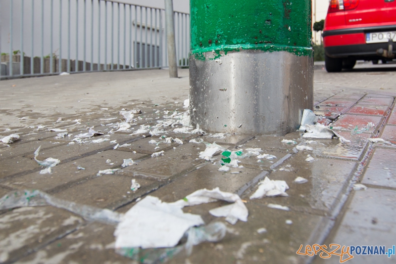 II edycję akcji Sprzątamy Wildę Foto: lepszyPOZNAN.pl / Piotr Rychter II edycję akcji Sprzątamy Wildę Foto: lepszyPOZNAN.pl / Piotr Rychter