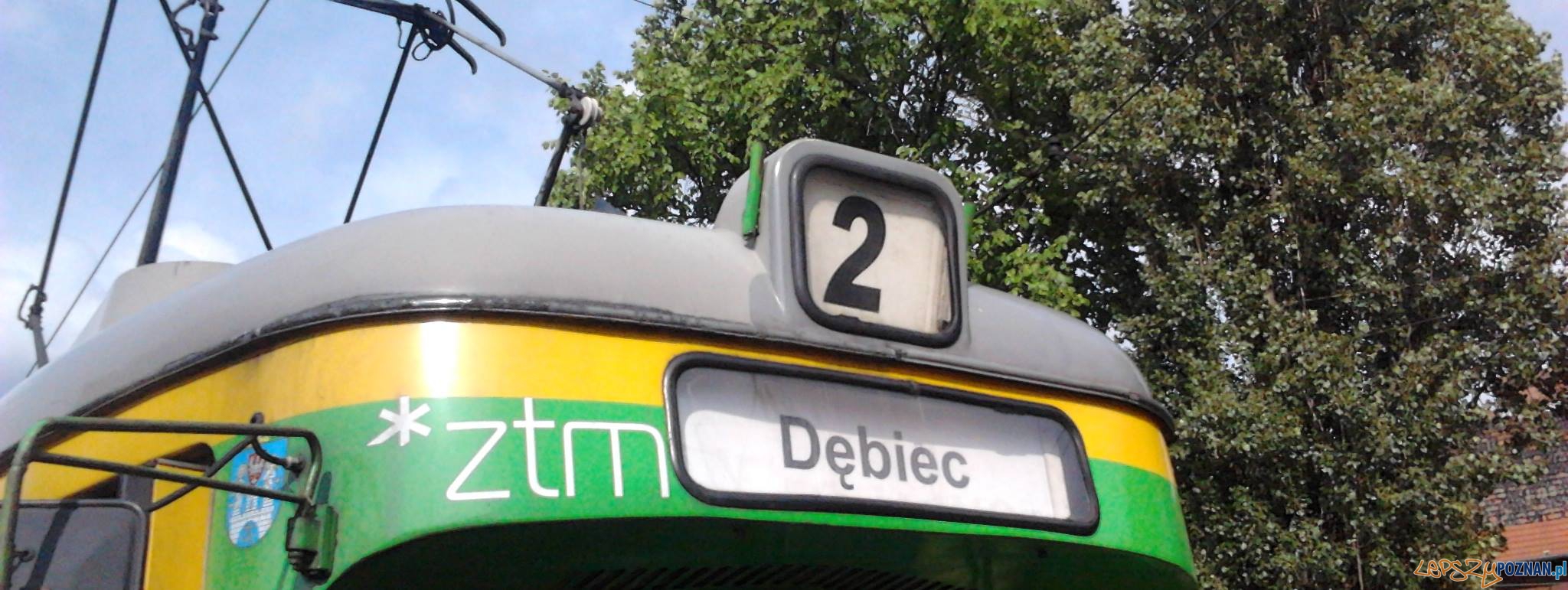 Kuniec Dymbiec Foto: poPoznaniu Kuniec Dymbiec Foto: poPoznaniu