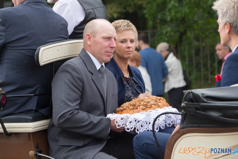 Dożynki miejskie 2014 Foto: lepszyPOZNAN.pl / Piotr Rychter Dożynki miejskie 2014 Foto: lepszyPOZNAN.pl / Piotr Rychter