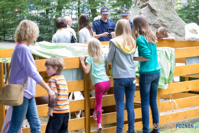 Dożynki miejskie 2014 Foto: lepszyPOZNAN.pl / Piotr Rychter Dożynki miejskie 2014 Foto: lepszyPOZNAN.pl / Piotr Rychter
