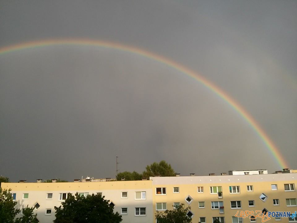 Deszcz i tęcza nad Poznaniem Foto: Beata Przybylak Deszcz i tęcza nad Poznaniem Foto: Beata Przybylak