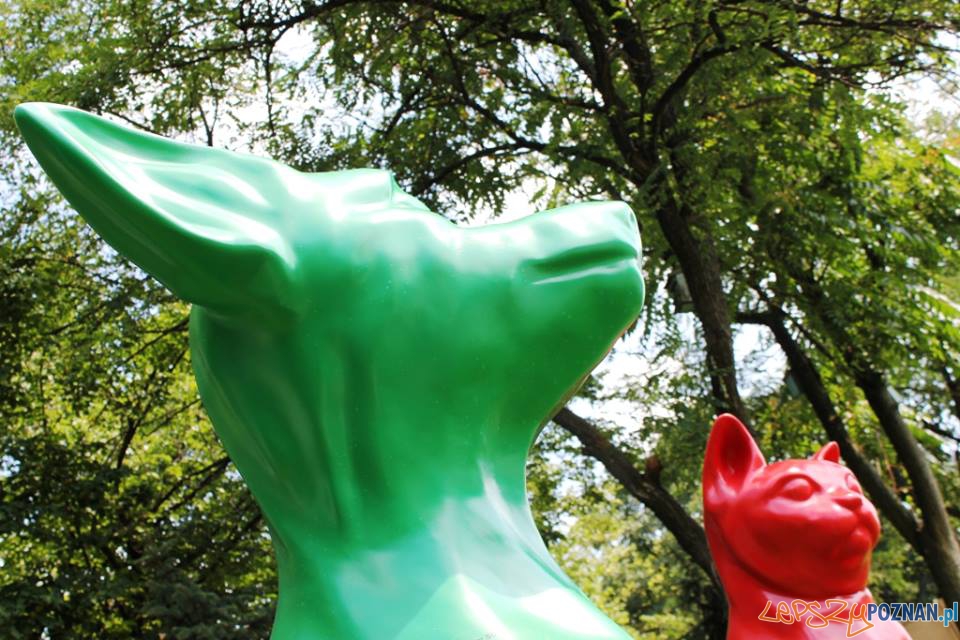 Figury psa i kota ukryte w Poznaniu Foto: Schronisko dla zwierząt w Poznaniu Figury psa i kota ukryte w Poznaniu Foto: Schronisko dla zwierząt w Poznaniu