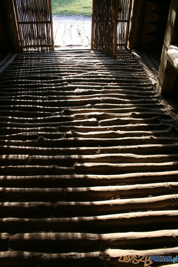 Fotografie z Biskupina Foto: M._Skubisz Fotografie z Biskupina Foto: M._Skubisz