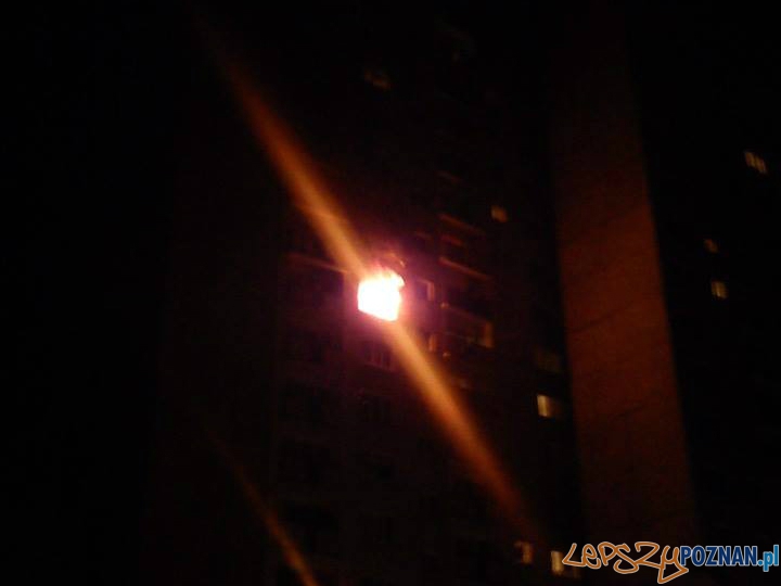 Nocny pożar na os. Orła Białego Foto: www.fb.com/OrlaBialego24 / Mateusz Wawrowski Nocny pożar na os. Orła Białego Foto: www.fb.com/OrlaBialego24 / Mateusz Wawrowski