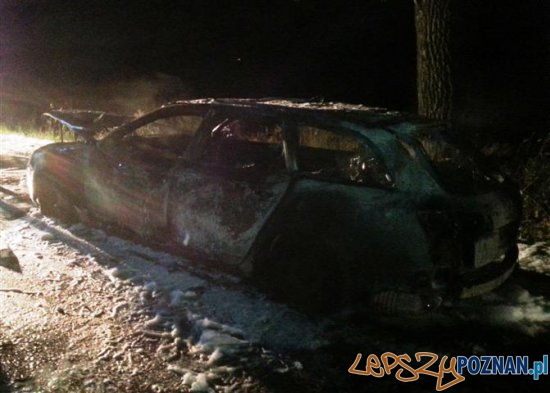 Spłonęło audi  Foto: PSP Jarocin