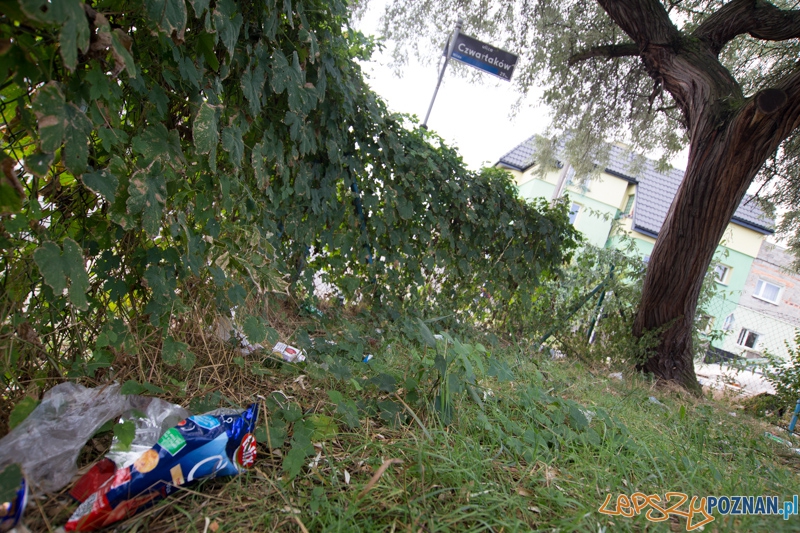 II edycję akcji Sprzątamy Wildę Foto: lepszyPOZNAN.pl / Piotr Rychter II edycję akcji Sprzątamy Wildę Foto: lepszyPOZNAN.pl / Piotr Rychter