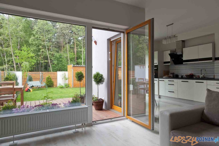 Forma oferta Linea  Foto: materiały prasowe