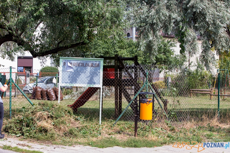 II edycję akcji Sprzątamy Wildę Foto: lepszyPOZNAN.pl / Piotr Rychter II edycję akcji Sprzątamy Wildę Foto: lepszyPOZNAN.pl / Piotr Rychter