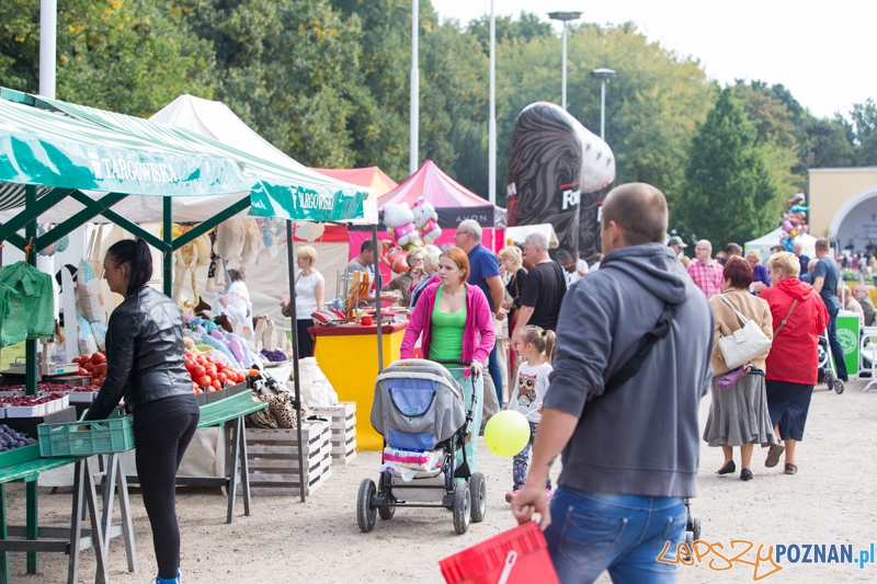 Dożynki miejskie 2014 Foto: lepszyPOZNAN.pl / Piotr Rychter Dożynki miejskie 2014 Foto: lepszyPOZNAN.pl / Piotr Rychter