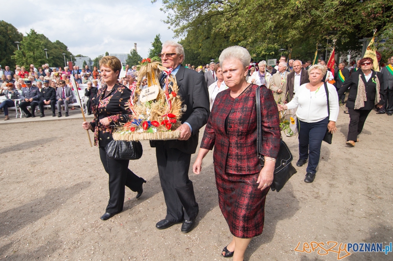 Dożynki miejskie 2014 Foto: lepszyPOZNAN.pl / Piotr Rychter Dożynki miejskie 2014 Foto: lepszyPOZNAN.pl / Piotr Rychter