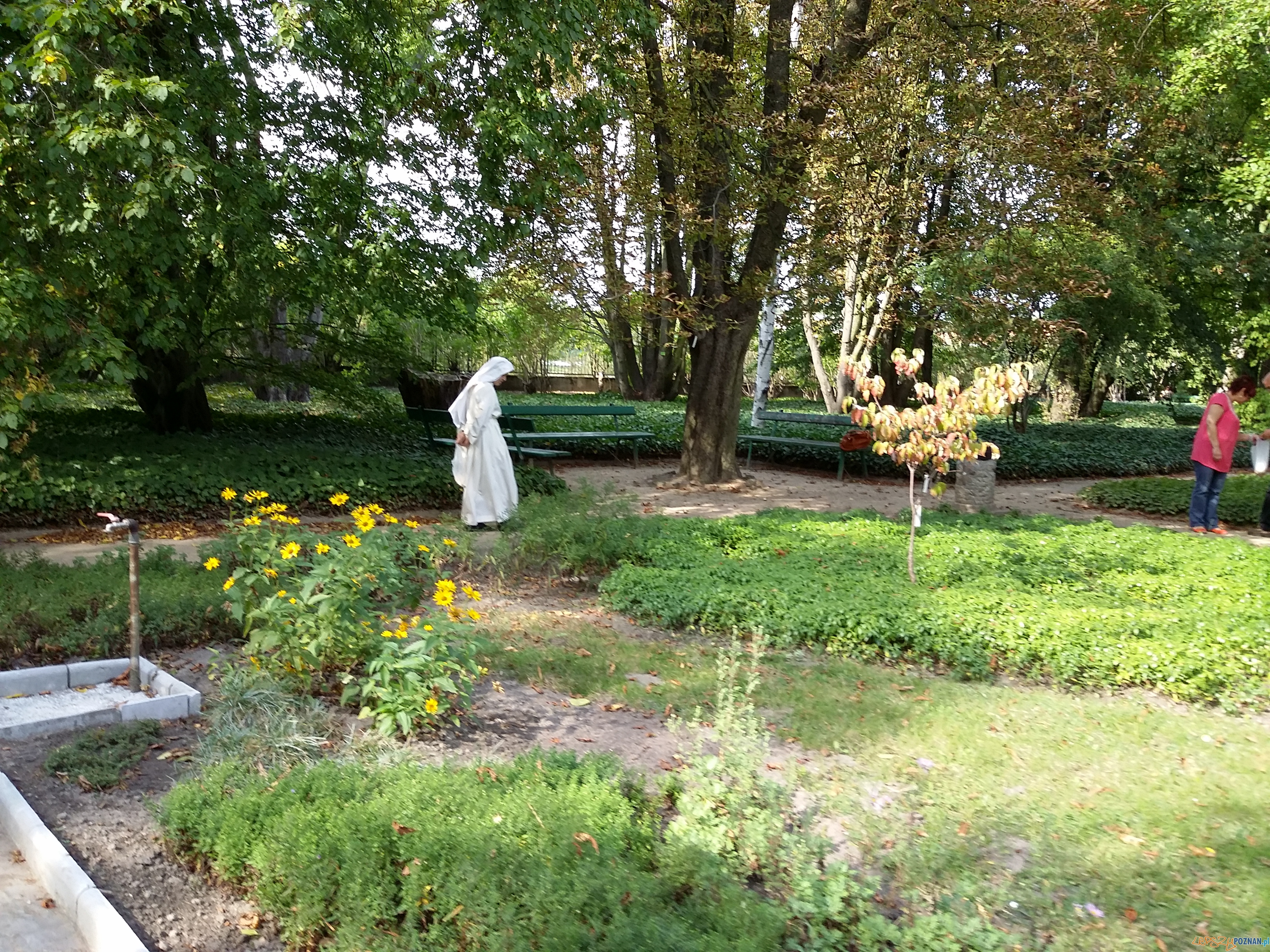 Botanik świętuje urodziny Foto: lepszyPOZNAN.pl / tab Botanik świętuje urodziny Foto: lepszyPOZNAN.pl / tab