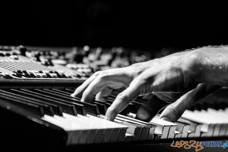 Boreal Sons (20.09.2014) Pod Minogą Foto: © lepszyPOZNAN.pl / Karolina Kiraga Boreal Sons (20.09.2014) Pod Minogą Foto: © lepszyPOZNAN.pl / Karolina Kiraga