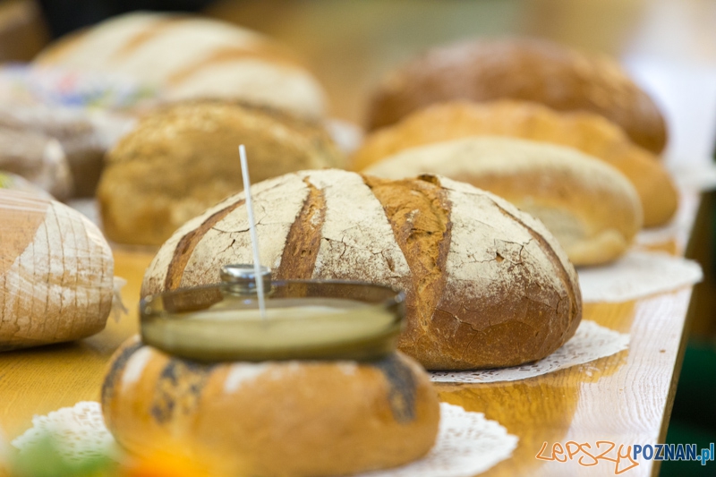Święto Chleba Foto: lepszyPOZNAN.pl / Piotr Rychter Święto Chleba Foto: lepszyPOZNAN.pl / Piotr Rychter