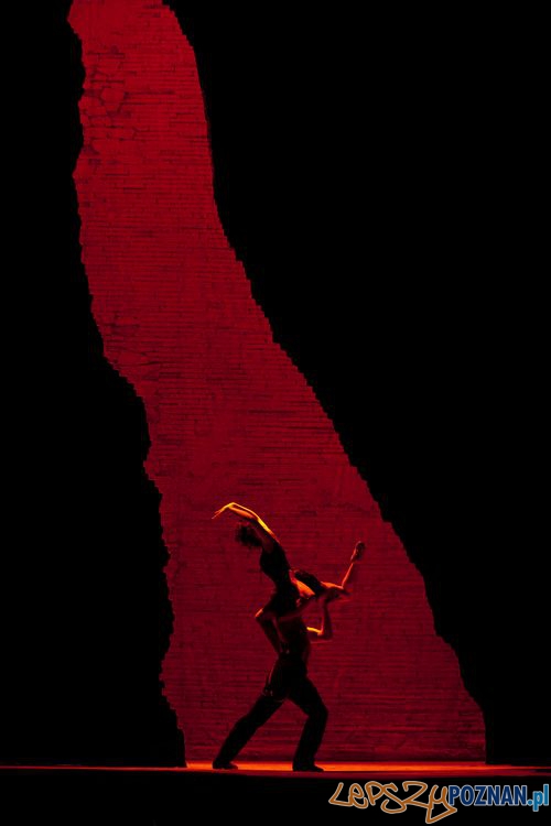 Bizet_Carmen_Ken_Howard Foto: Bizet_Carmen_Ken_Howard Foto: